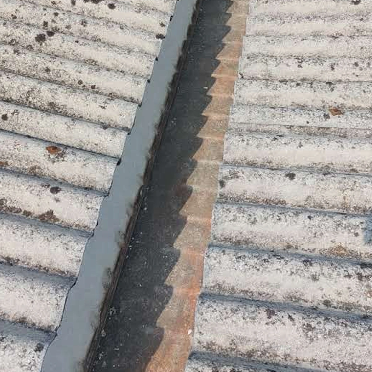 Dettaglio di un tetto in eternit con lastre ondulate grigie invecchiate, coperte da muschi e licheni lungo la linea di colmo